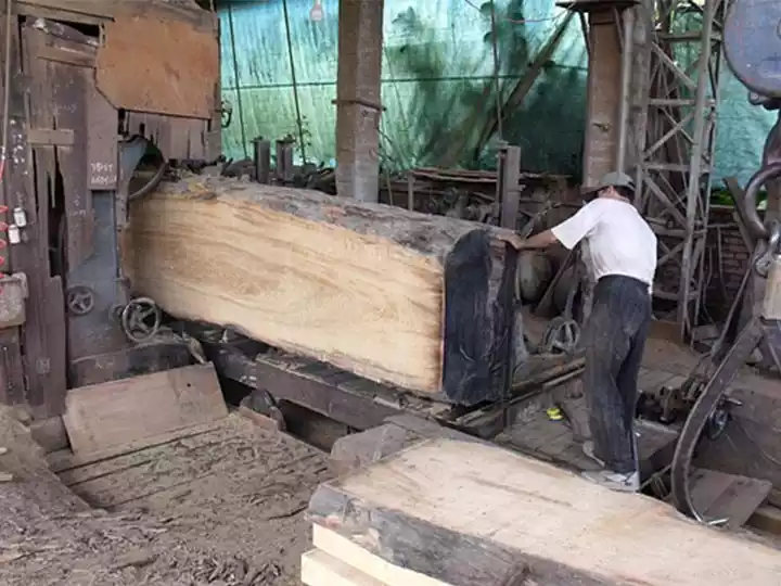 log-sawing-plant-in-Italy.webp